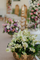 Elegant floral arrangements. Creamy white flowers in an ornate gold pot, with other floral...