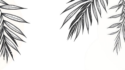 White background with stylized black and white palm leaves in the top corners, creating a clean, graphic, and decorative botanical design.
