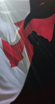 War knights templar Flag. 4K Vertical. Loop