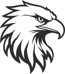 Eagle or hawk head with a large sharp beak and a beautiful eye, eagle head icon, eagle silhouette in black.