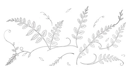 A light background scattered with delicate hand-drawn leaves and branches, creating a simple, artistic, and organic botanical visual.