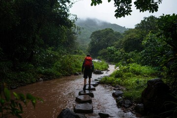 Fototapeta premium Person hiking in a rainforest