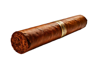 Cigar isolated on transparent or white background
