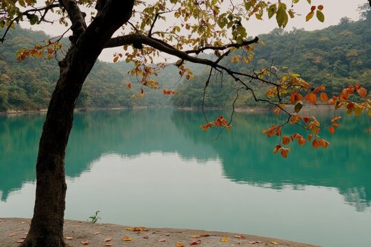 Tranquil lake scene with autumnal foliage