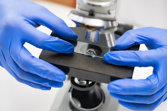Close-up of gloved hands carefully positioning a microscope slide containing a specimen on the stage of a microscope, demonstrating meticulous laboratory procedures