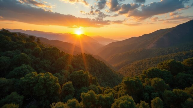 Selva de Oza forested valley seen from above at sunny dawn, revealing winding rivers and lush slopes.