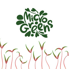 Illustration Microgreens lettering at the top and a border of red microgreens sprouts at the bottom. On a white background. Theme healthy food.