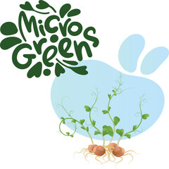 Illustration with stylized inscription Microgreens and drawing of microgreen sprouts with roots and seeds, on the background of abstract blue spot. Image on white background.