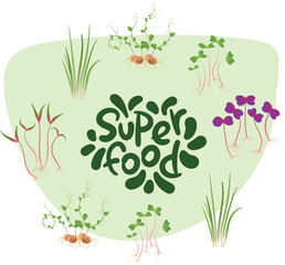 Superfood lettering on green background with bunches of greenery around. Illustration of various healthy fresh microgreens.