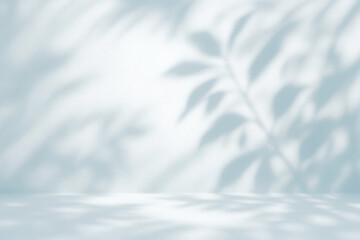Obraz premium Soft shadows of tree in a tranquil white wall during daylight