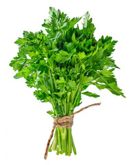 Bunch of fresh parsley herb isolated on white background.