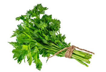 Fresh green parsley bunch isolated on white background