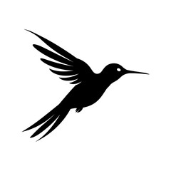 Obraz premium Flying Hummingbird Silhouette Design