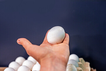 holding a white chicken egg in her hand on a gray background. Concept of economic crisis