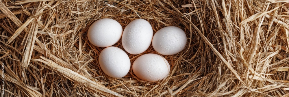 Poster fresh farm eggs nestled in a straw nest create a serene agricultural scene suitable for cooking acti