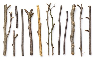 Assorted twigs and small branches in various lengths and shades of brown, laid out vertically on a white background.  Each branch displays natural wood grain and unique textures