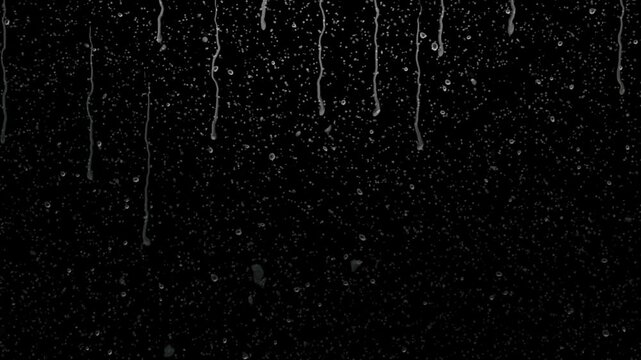 This loopable rain footage features naturally falling raindrops at a consistent speed and density, allowing easy integration into a wide variety of creative projects. The green screen background 