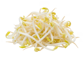 Pile of bean sprouts isolated on transparent background