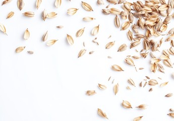 Light brown seeds scattered on white background.  Small,  light-tan,  grain-like objects,  forming a loose,  scattered pattern,  with some seeds concentrated in corner areas.  