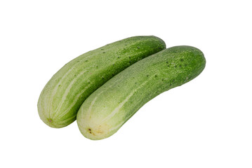 fresh green cucumbers on white background