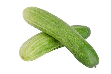 fresh green cucumbers on white background