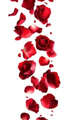 Fototapeta premium Romantic Red Rose Petals Falling Gracefully on White Background Creating Elegant Atmosphere for Special Occasions and Events