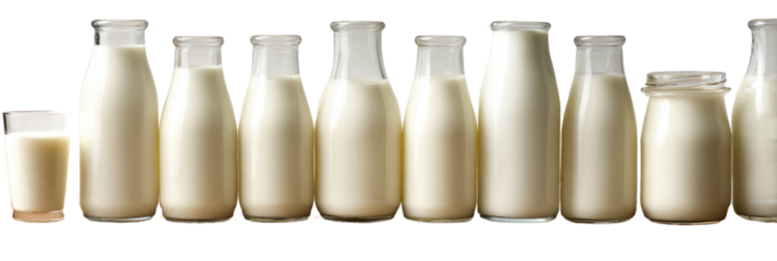 A collection of glass bottles filled with fresh milk, varying in size from small to large
