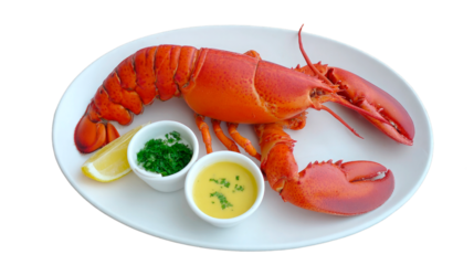 A freshly cooked lobster is presented on a white plate, accompanied by lemon wedges and two small bowls of melted butter and parsley sauce, evoking a seaside dining experience