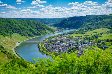 Blick auf Enkirch von der Moselschleife Kröv
