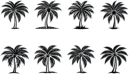 Fototapeta premium Silhouettes of palm trees at sunset on a tropical beach