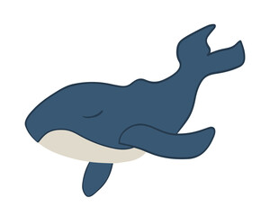 Vector isolated illustration of a whale on a white background.