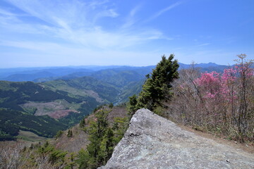 稲叢山の山頂　アケボノツツジ咲く　（高知県　土佐町）