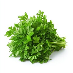 Obraz premium Fresh Green Parsley Bunch on White Background for Culinary and Kitchen Use in Healthy Cooking and Recipes