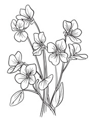 Simple Marigold Line Drawing for Botanical Coloring Projects