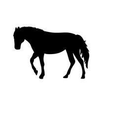 Horse silhouette illustration