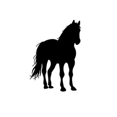 Horse silhouette vector illustration