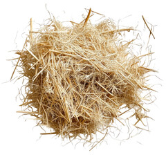 Fescue Hay Strands Scattered Studio isolated on a transparent background. High quality PNG, commercial use.