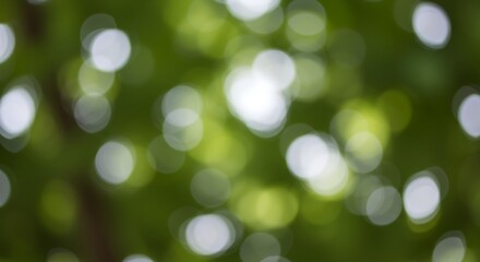 Obraz premium Emerald Haze of Noon