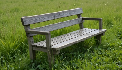 Wooden Bench in a Lush Green Field with a Blurred Background

