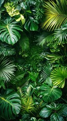 Lush greenery with overlapping tropical foliage