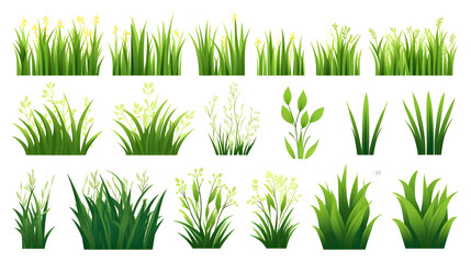 High-Quality Green Grass Set Isolated on White Background Vector Illustration