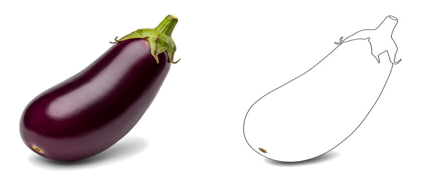 Fresh and vibrant eggplant vegetable with shadow and outline for culinary and design usage