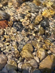 stones in the river, clear water