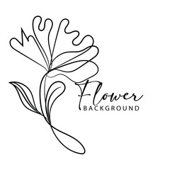 Clean Line Art Design Simple Elegant Illustrations for Branding and Web Use