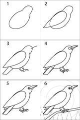 Step-by-step instructions on how to draw a raven. Fabulous fantasy art, bird character, animal. Line art, vector contour drawings.
