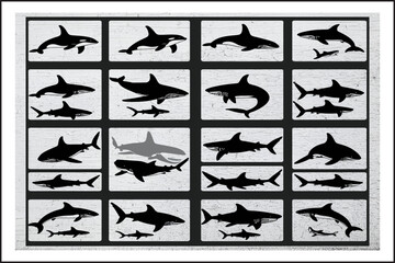 Great White & Orca Illustration Set
Marine Animal Graphics Bundle
Shark and Whale Vector Art
Underwater Predator SVG Pack