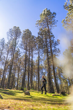 Woman walking through a lush pine fores