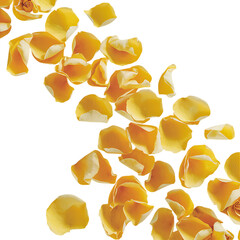 Golden Rose Petals Isolated on Transparent Background.  Rose Petals PNG. Yellow Rose Petals PNG.