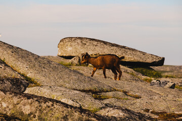 Pastagens da Serra e Sunsets inesperados