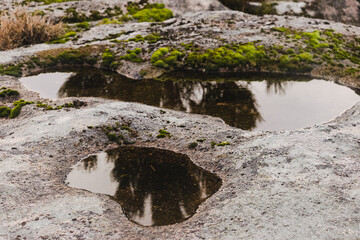 Dar cor &agrave; Serra